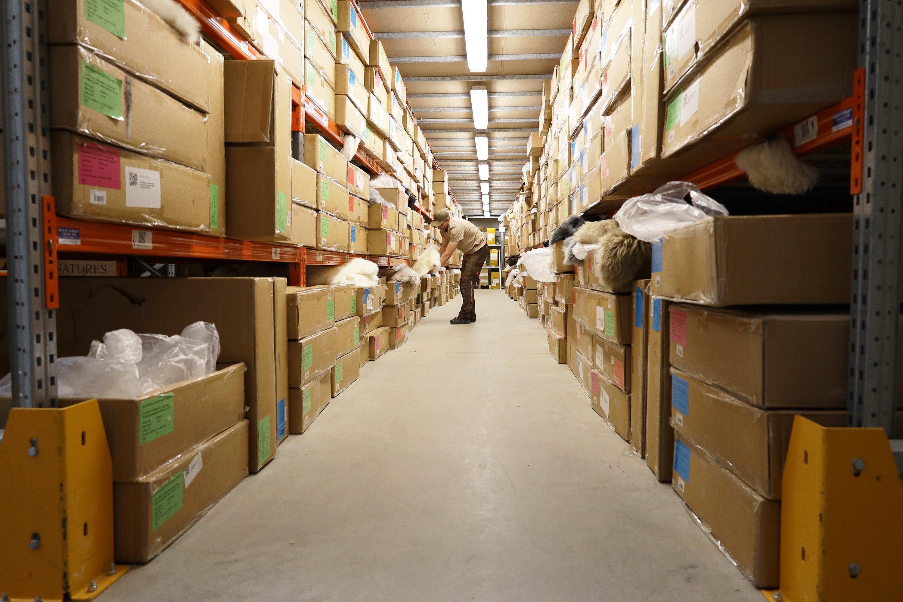 Behind The Scenes - 5000 sqm Warehouse - Naturescollection.eu