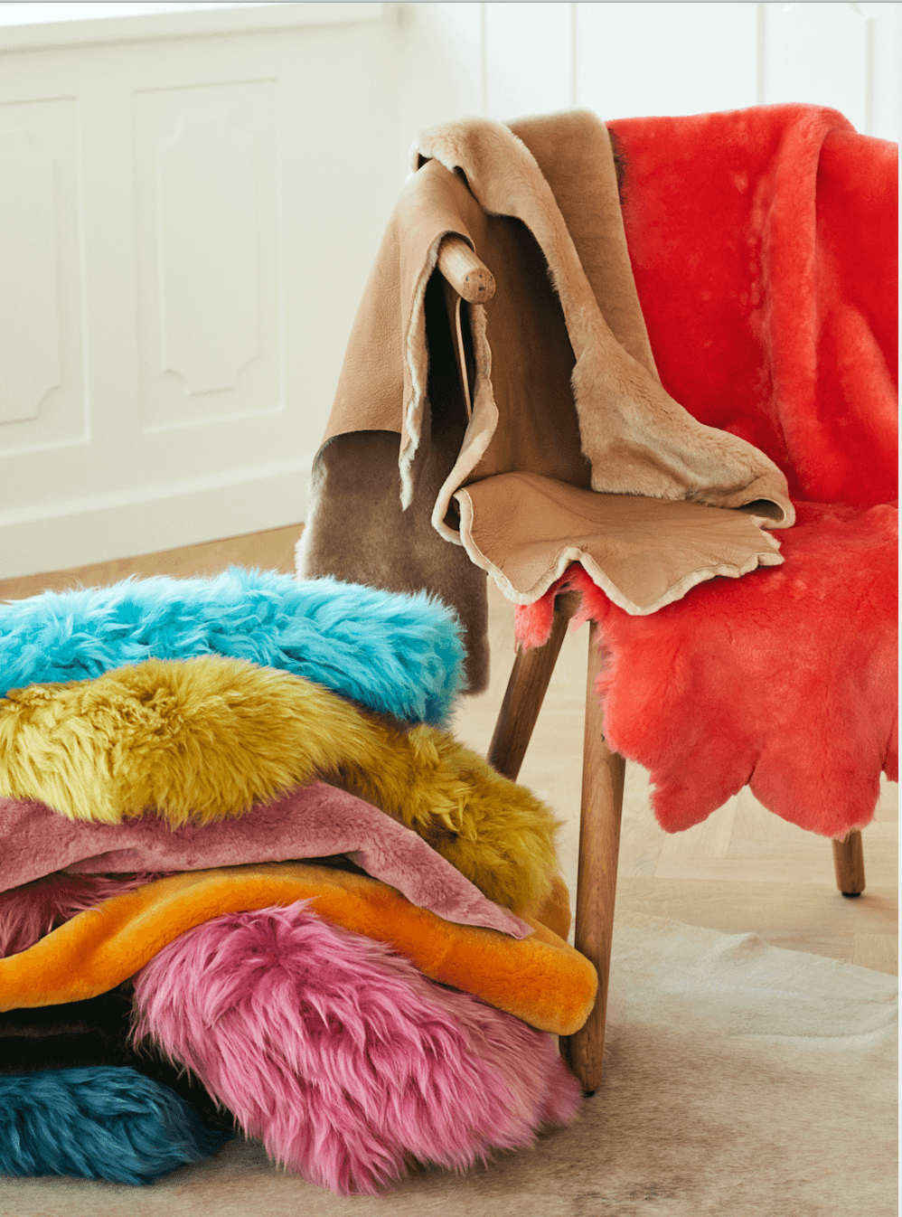 How does our fur get coloured? - Naturescollection.eu