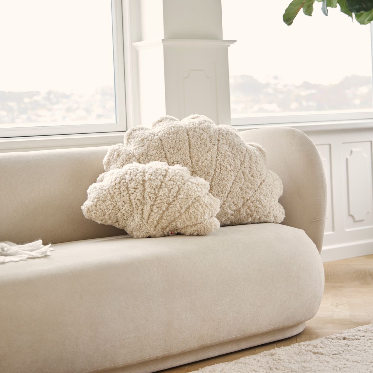 Shell Cushion | Small | Medium | Large Anthracite