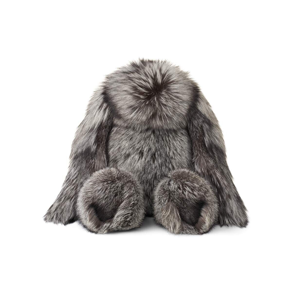 Teddy | Fox Silver Fox