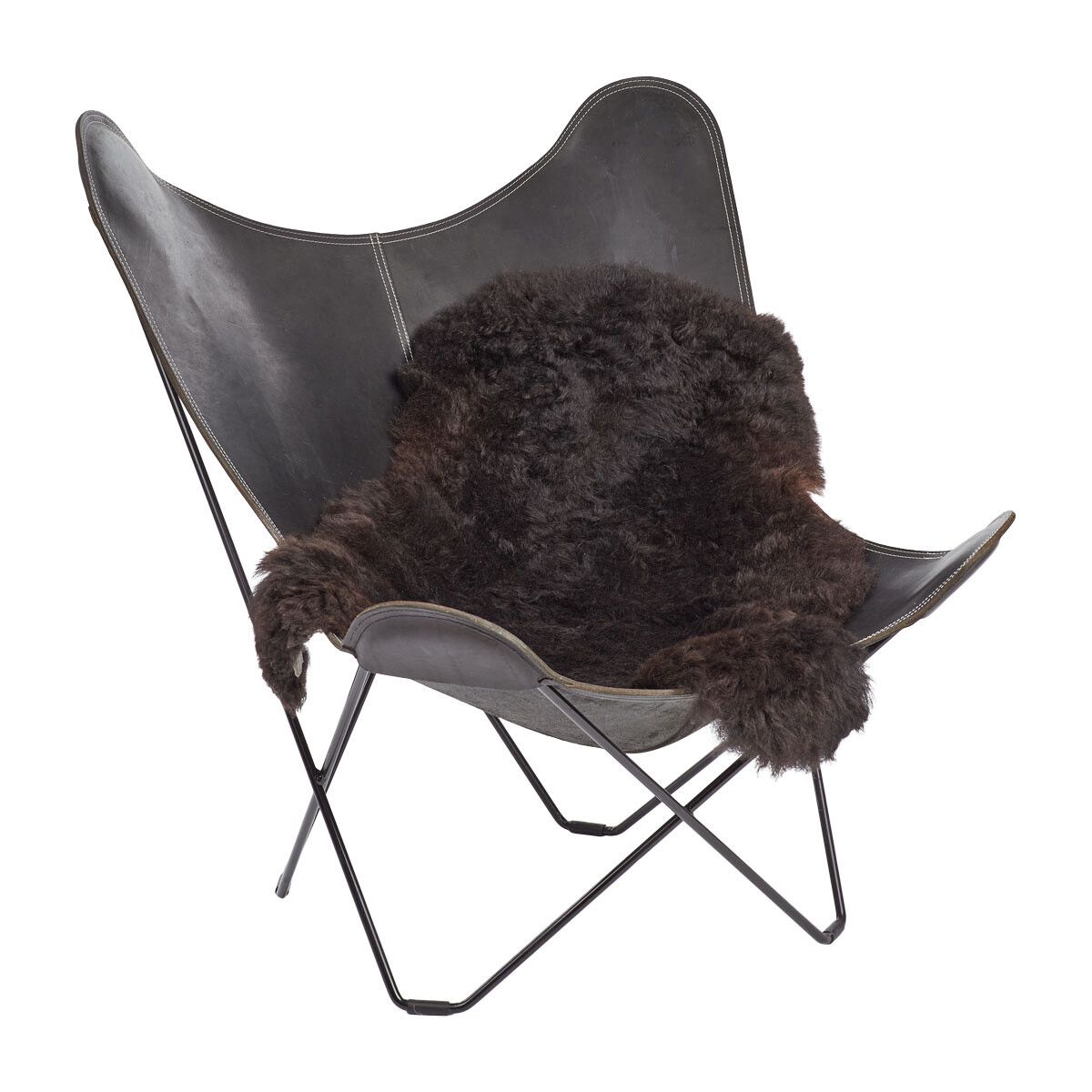 Icelandic Sheepskin | Short Wool | 100-120 cm Blacky