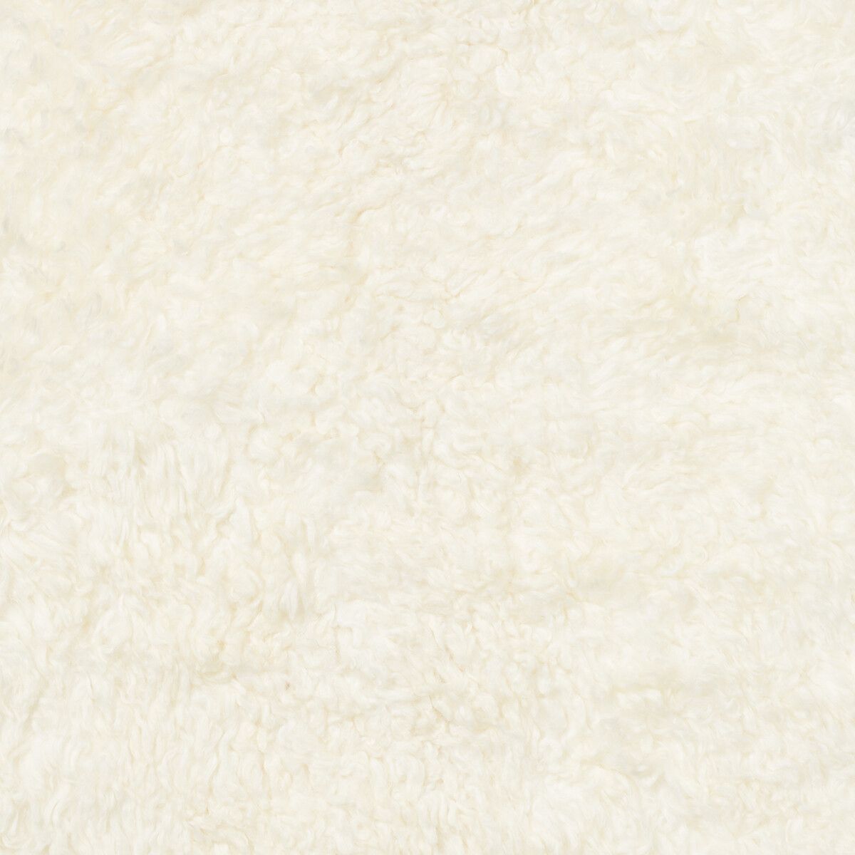 Short Wool Curly Sheepskin Shell Design Rug | 210x150 cm Ivory