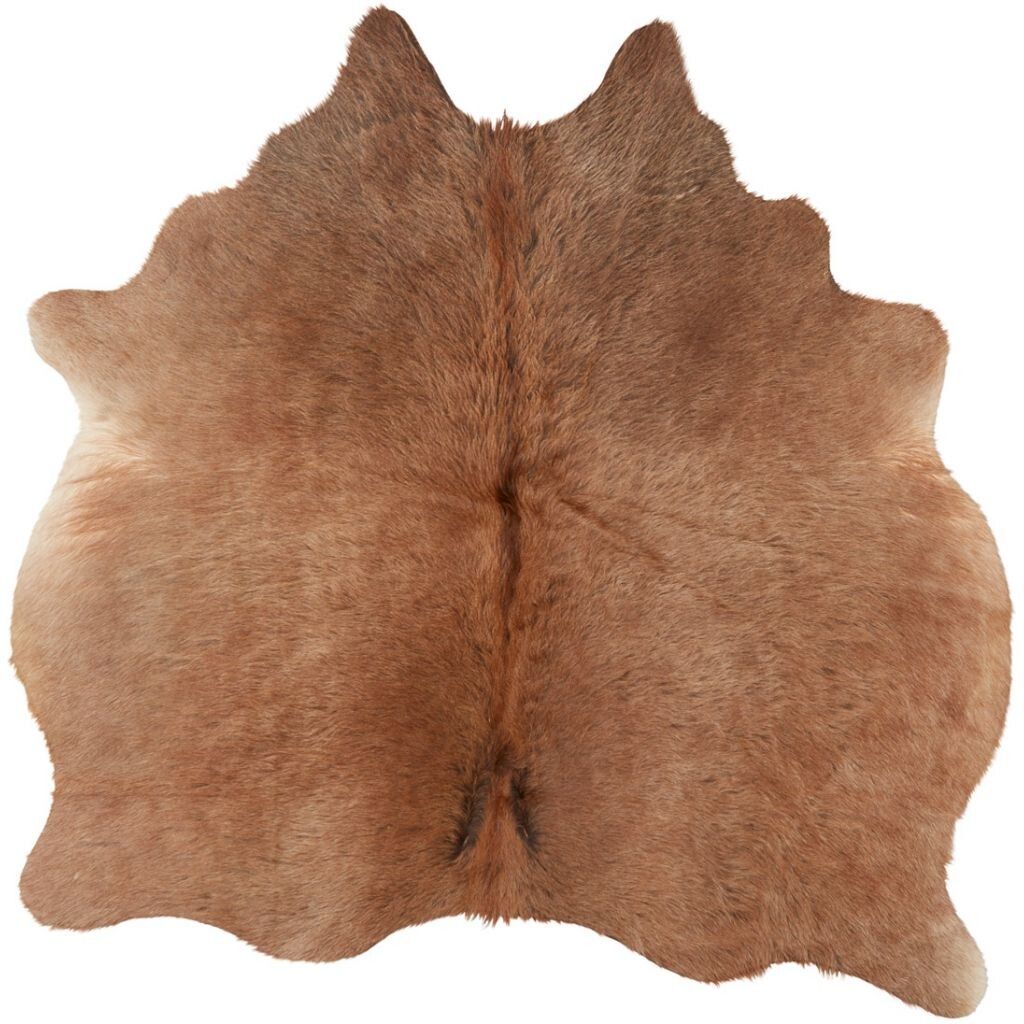 Cow Hide Rug