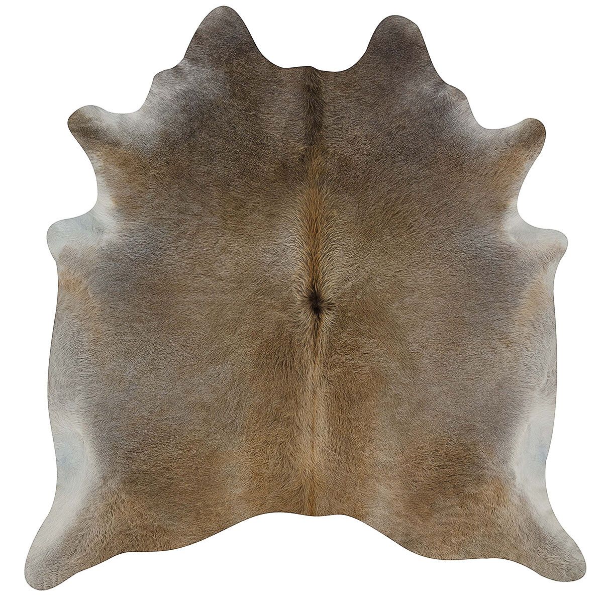 Premium Natural Cowhides – Unique, Stylish, and Sustainable. XXL Size from Brazil Grey Beige