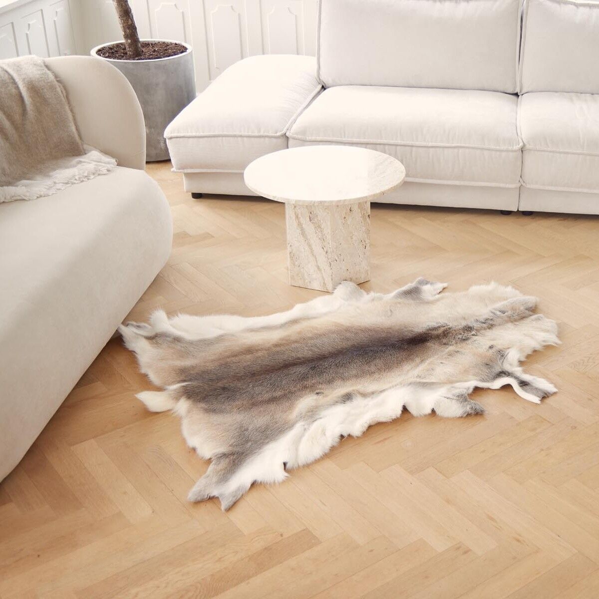Reindeer Hide | 70x110cm Natural