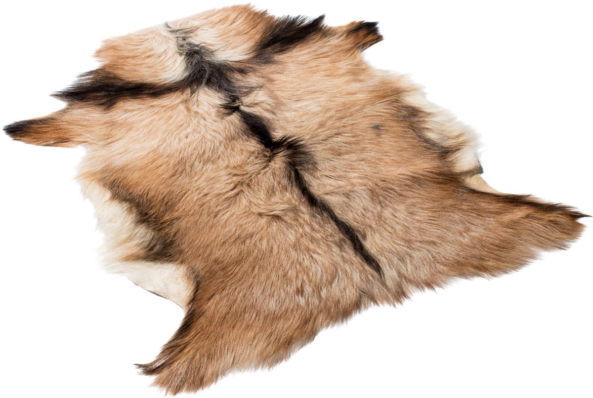 Premium Goat Skin | Short Wool Spotted