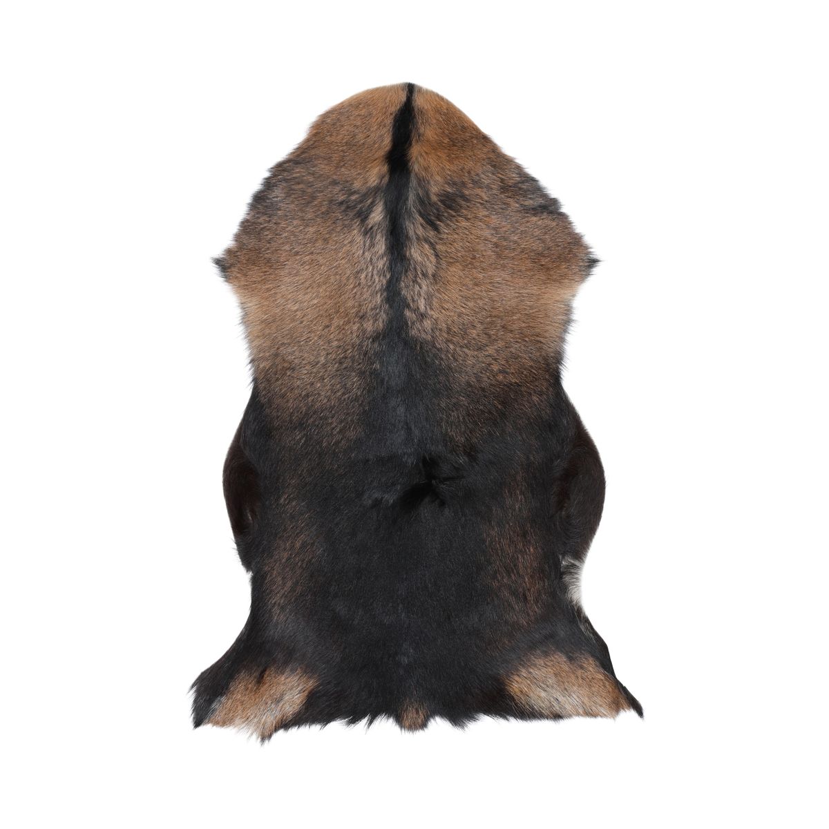 Premium Goat Skin | Short Wool Black/Brown