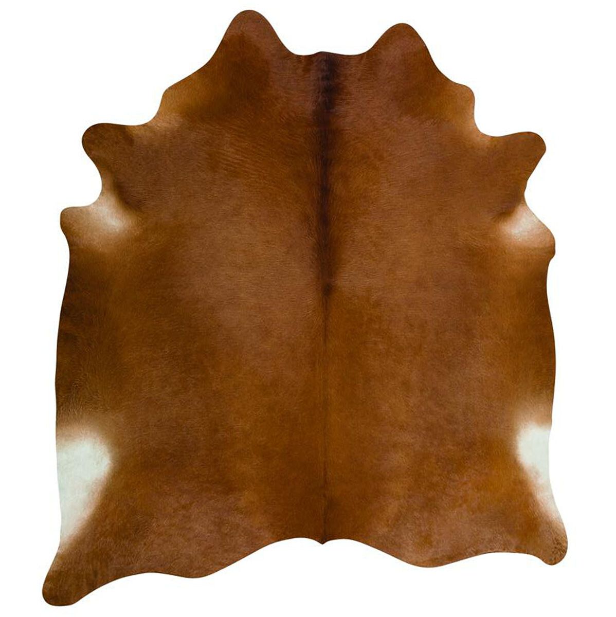 Premium Natural Cowhides – Unique, Stylish, and Sustainable. XXL Size from Brazil Brown