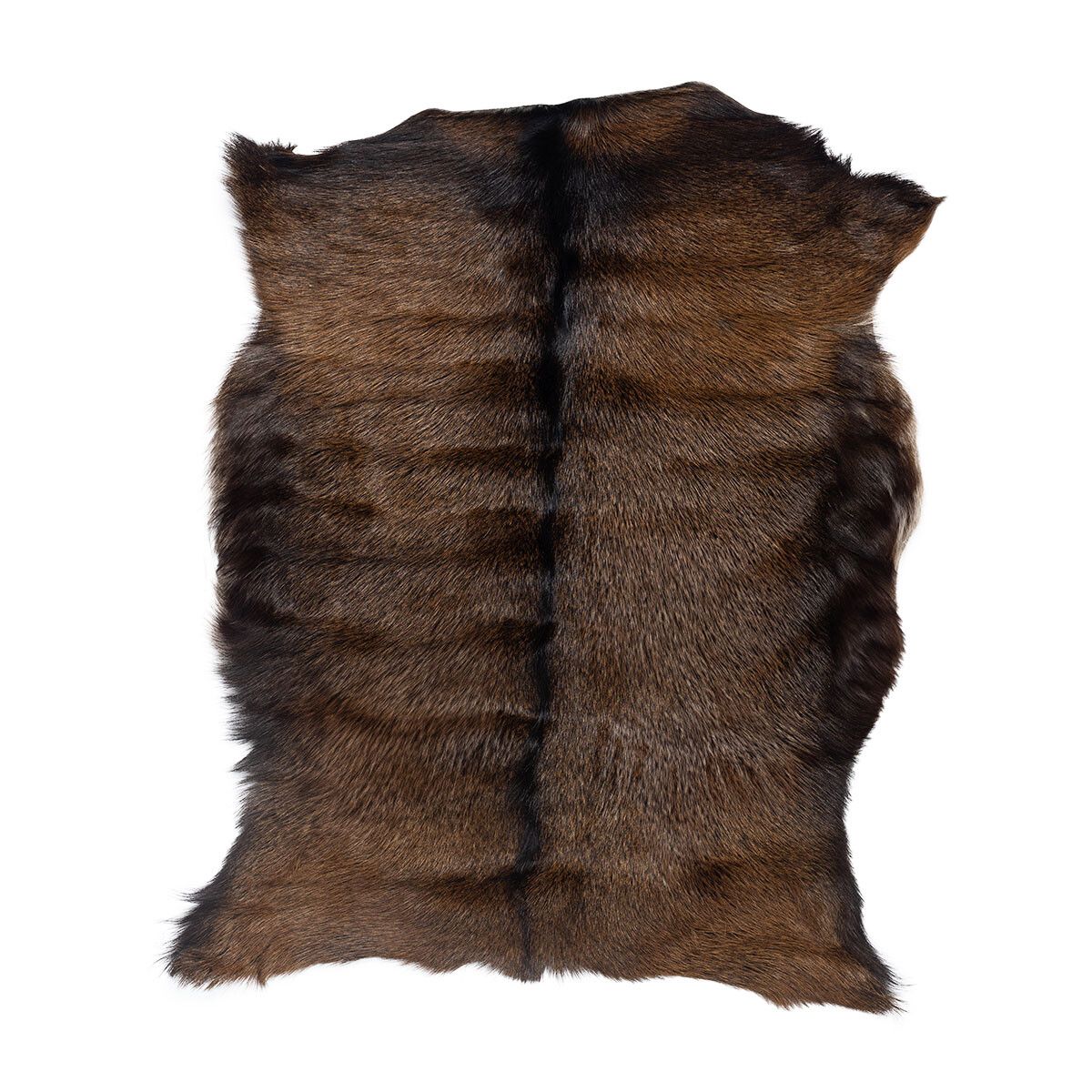 Premium Goat Skin | Short Wool Spotted