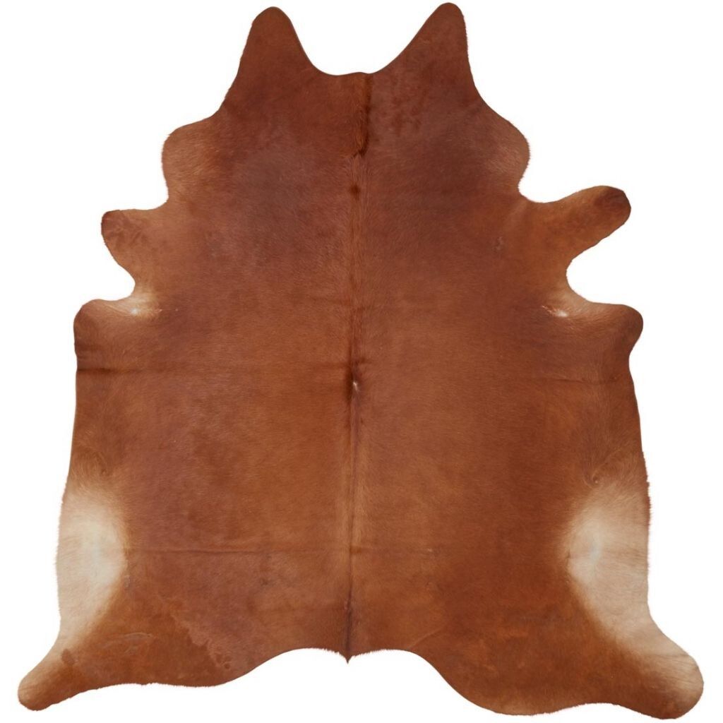 Cow Hide Rug