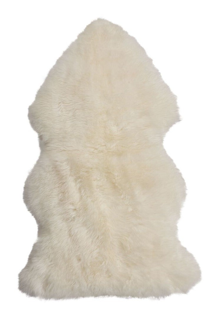 Sheepskin from above with measuring lines for length and width