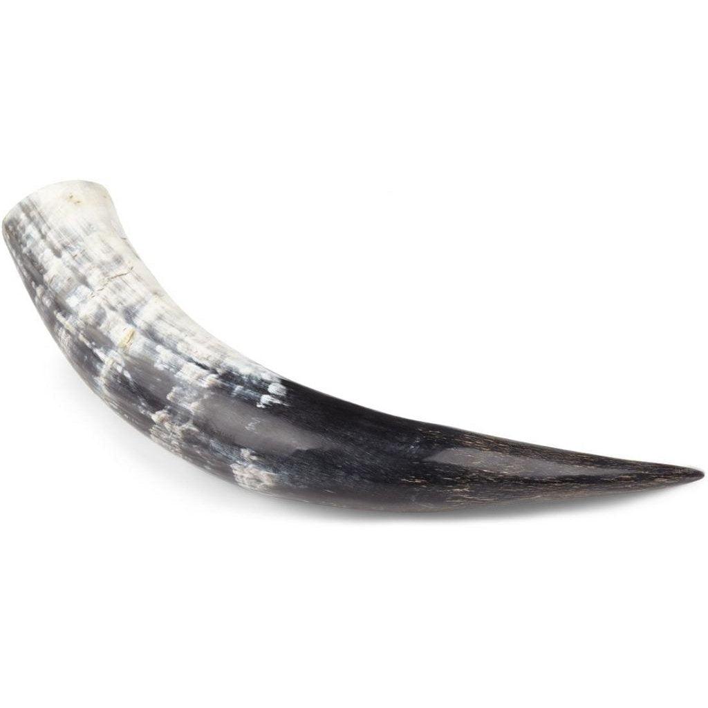 South African Cow Horn | 40-50 cm. | Polished - Naturescollection.eu