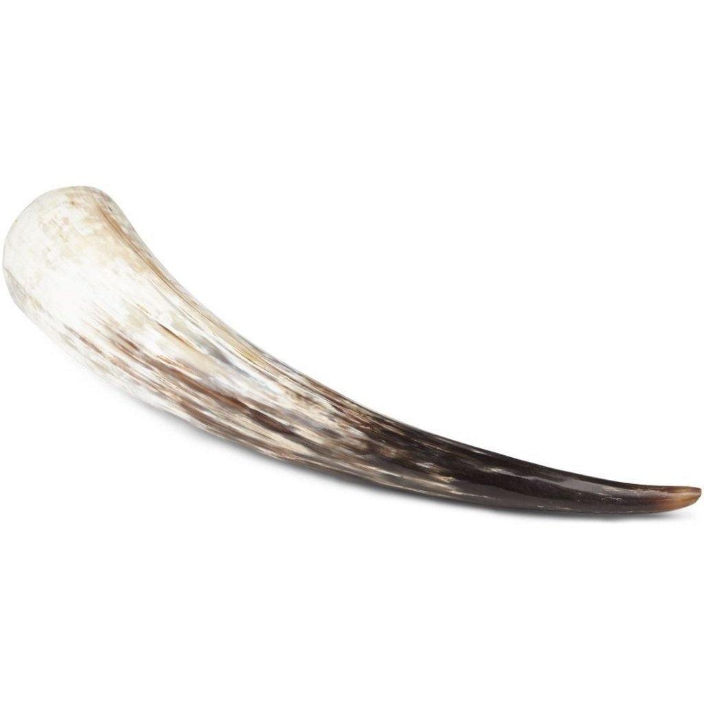 South African Cow Horn | 51+ cm. | Polished - Naturescollection.eu